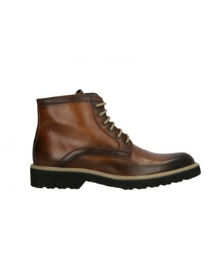 Lorenzi 2838