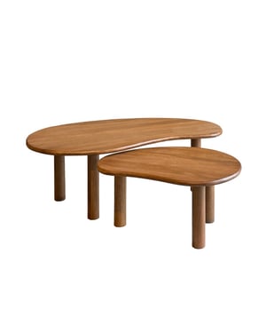 Livingfurn salontafel nubi set of 2 mangohout