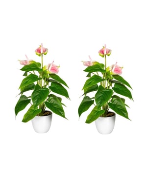 Kopu ® 2 stuks anthurium kunstplant 40 cm flamingoplant