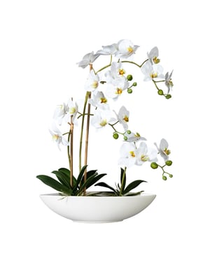 Kopu ® kunstbloem orchidee 60 cm met schaal ovaal phalenopsis