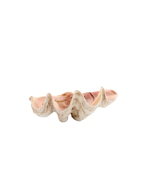 Light & Living ornament shell 41x25x17cm -