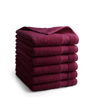 DoubleDry Hotel handdoeken 50 x 100 cm – set van 6 – 100% katoen 500 g/m2 –