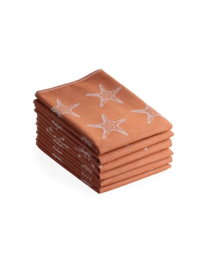 DoubleDry Luxe theedoeken set 6 stuks 50x70 cm 100% katoen hoge