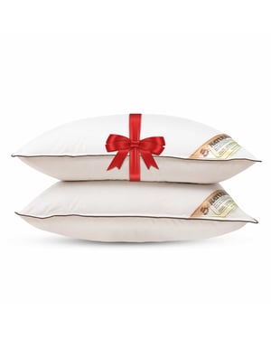 NachtrustOnline Kapok hoofdkussens set van 2 stuks verkoelend kussen medium 1000g -
