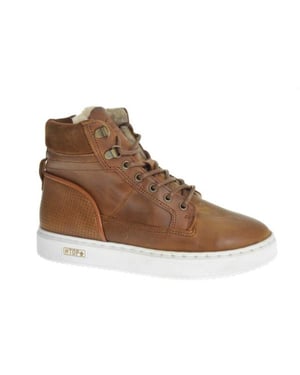 Gattino G2586