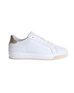 Gattino G1574