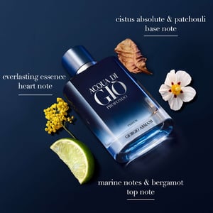 Armani Acqua Di Gio Profondo Eau de Parfum Spray for Men - 100 ml