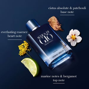 Armani Acqua Di Gio Profondo Men's Parfum Spray - 50 ml
