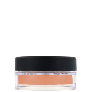 bareMinerals Mineral Veil Poeder voor een Perfecte Afwerking Getint
