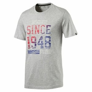 Puma FUN SUMMER 1948 DryCell Grey Regular Fit T-shirt för herrar 836592 04