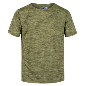 Regatta Heren Fingal Editie T-Shirt (Donker Tang Marl)