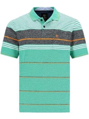 hajo polo