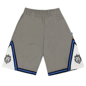 Vintage Nike Mens Lebron James 23 Grey Basketball Shorts
