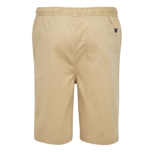 Regatta Mens Aldan Chino Shorts (Havre)