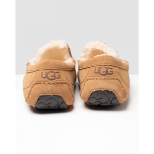 UGG Ascot Mens Slipper