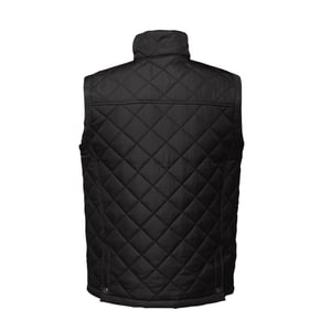 Regatta Mens Tyler Bodywarmer (Svart)