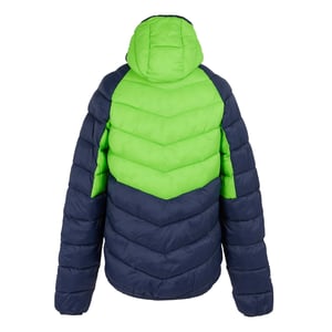 Regatta Mens Dalent Hooded Insulated Jacket (Green Flash/Navy)