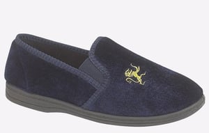 Sleepers Kyle Lion Motif Twin Gusset Junior