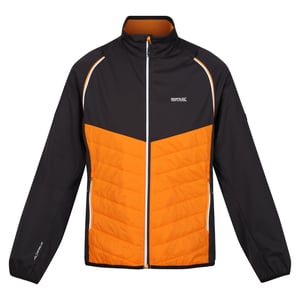 Regatta Mens Steren Hybrid Soft Shell Jacket (Orange Pepper/Ash)