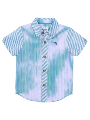 Kite Clothing Special Shirt