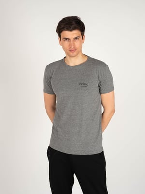 Iceberg T-shirt C-ringad Herr Grå