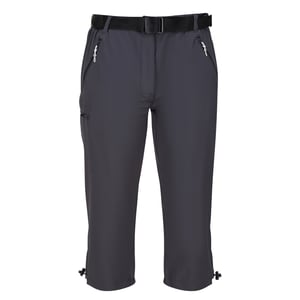 Regatta Womens/Ladies Xert Stretch Casual Shorts (Seal Grey)