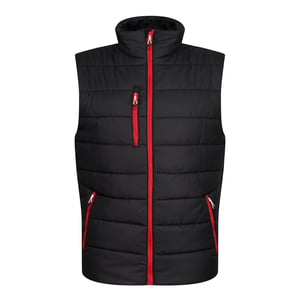 Regatta Thermische bodywarmer Navigate voor heren (Zwart/Klassiek Rood)