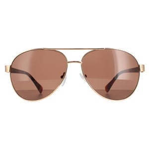 Calvin Klein Aviator herr guld brun CK19316S