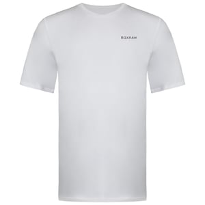 BoxRaw Logo Mens White T-Shirt