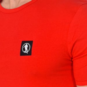 Pack 2 Fashion Pupino T-shirts