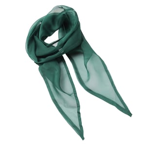 Premier Dames chiffon sjaal
