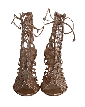 Sophia Webster Delphine Metallic Cage Lace-up Sandals in Gold Leather