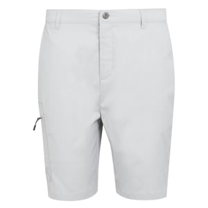 Regatta Mens Dalry Multi Pocket Shorts (Silver Grey)