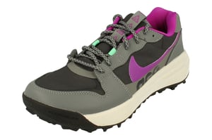 Nike ACG Lowcate Herrskor Grå