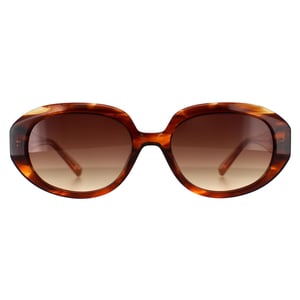 Ted Baker TB1689 Penny 104 bruin hoorn bruin gradiënt zonnebril