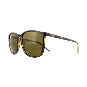 Ray-Ban Sunglasses RB4387 710/73 Tortoiseshell Brown