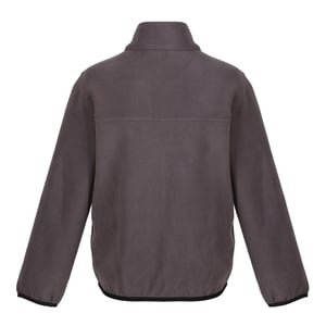 Regatta Kinder/Kids Microfleece Full Zip Fleecejack (Afdichting Grijs)