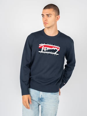 Tommy Jeans Pullover Herr Blå
