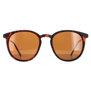 Montana Round Unisex Havana Rubbertouch Brown Polarized MP33 Solglasögon