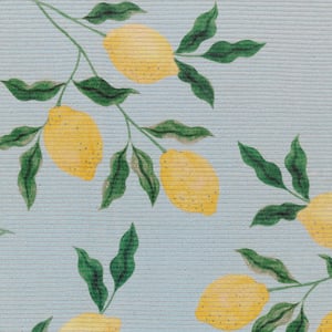 furn. Lemons Outdoor Rug