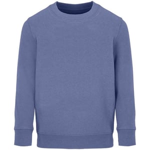 SOLS Childrens/Kids Columbia Sweatshirt (Blue)