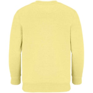 SOLS Childrens/Kids Columbia Sweatshirt (Light Yellow)