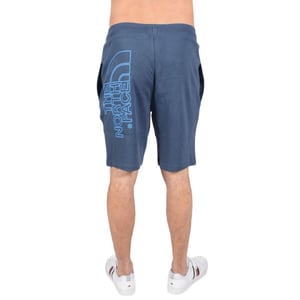 The North Face Heren Graphic Short Blauw
