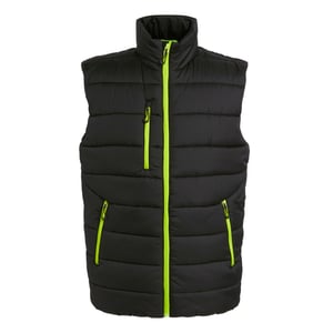Regatta Thermische bodywarmer Navigate voor heren (Zwart/Lijkgroen)