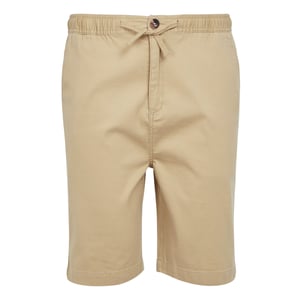 Regatta Mens Aldan Chino Shorts (Havre)