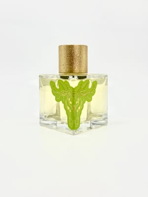 Seven Colours 100ml EDP