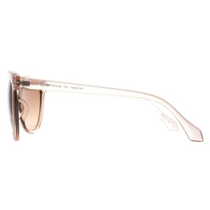 Calvin Klein Kattögon Damen Kristall Beige Brun Gradient CK19534S