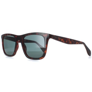 Ted Baker TB1680 Filipe 110 melkachtig donkerbruin blauwe zonnebril