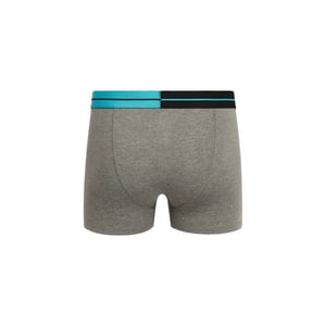 Crosshatch Mens Typan Boxer Shorts (Pack of 3) (Teal)