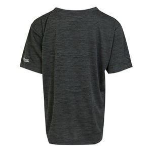 Regatta Kinderen/Kinderen Alvardo VIII Paw Print Marl T-Shirt (Afdichting Grijs)